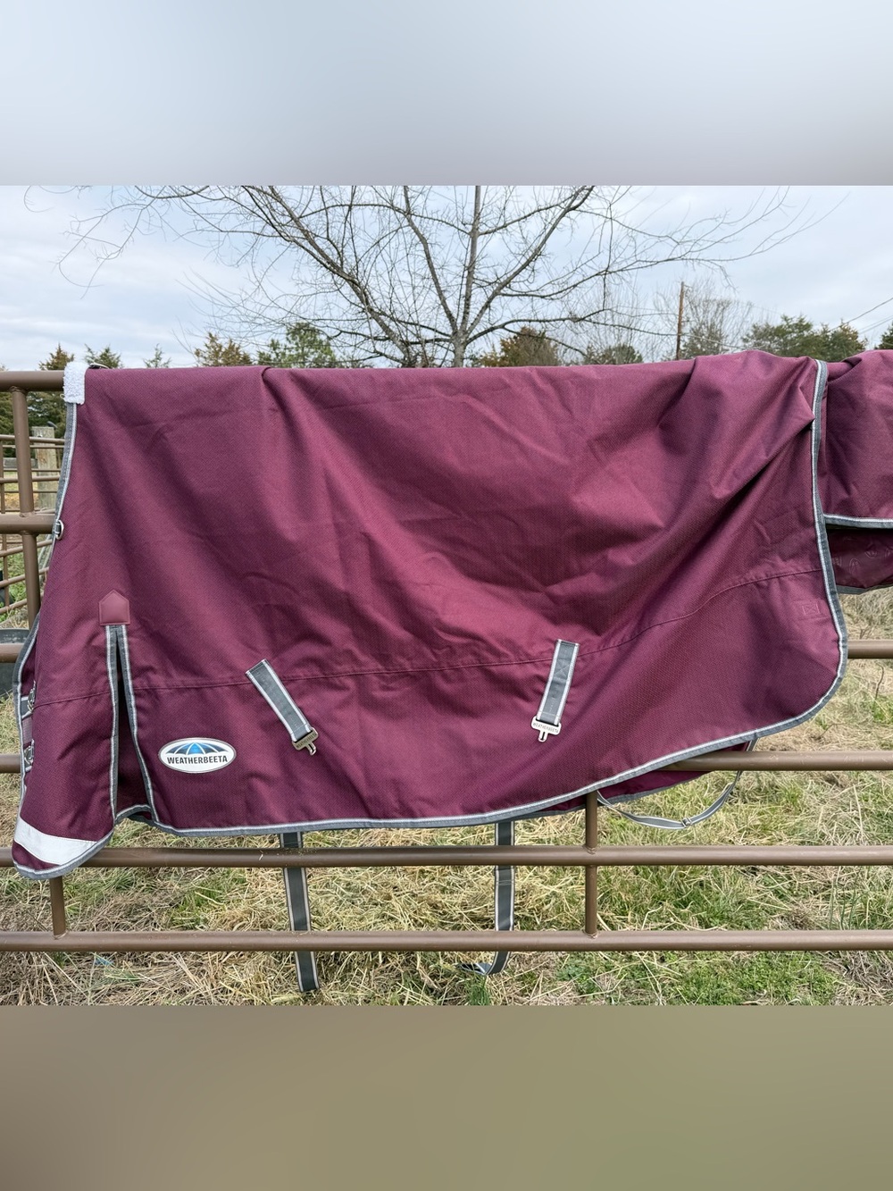 Weatherbeeta Horse Turnout Sheet, 78 w/hood